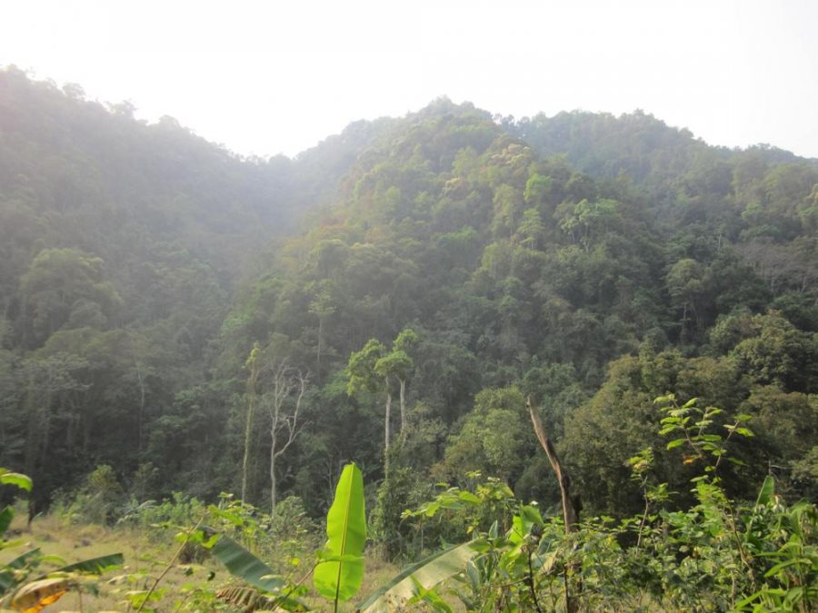 quan-ly-giu-gin-va-bao-ve-khu-bao-ton-thien-thien-muong-nhe_2.jpg