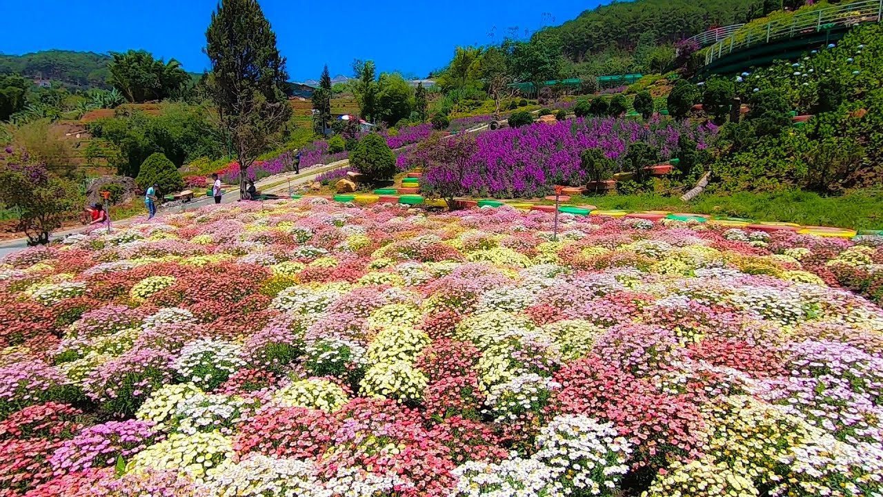 que-garden-da-lat8.jpg