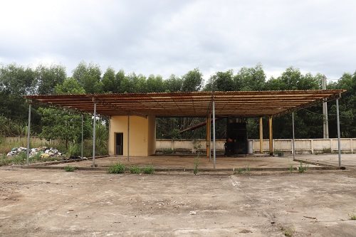 lo-rac-xuan-binh.jpg