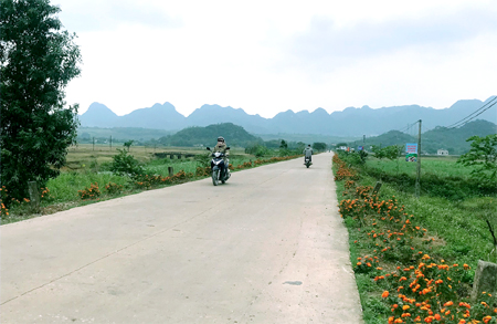 anh-m1.jpg