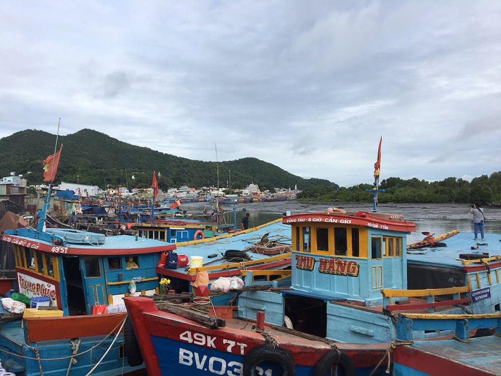 1-cang-ben-dinh(1).jpg