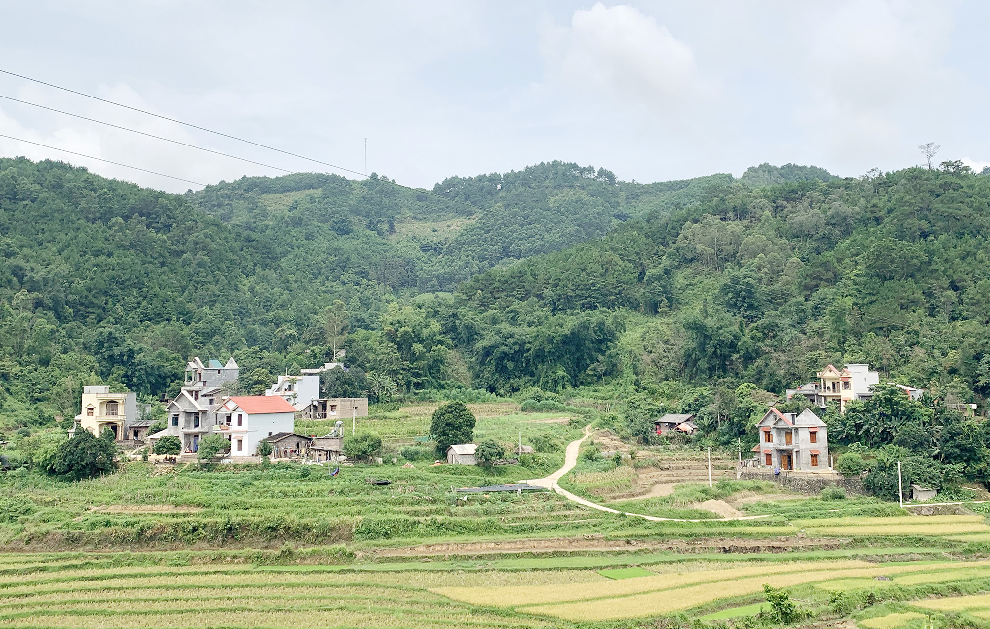 anh-qn-01.jpg