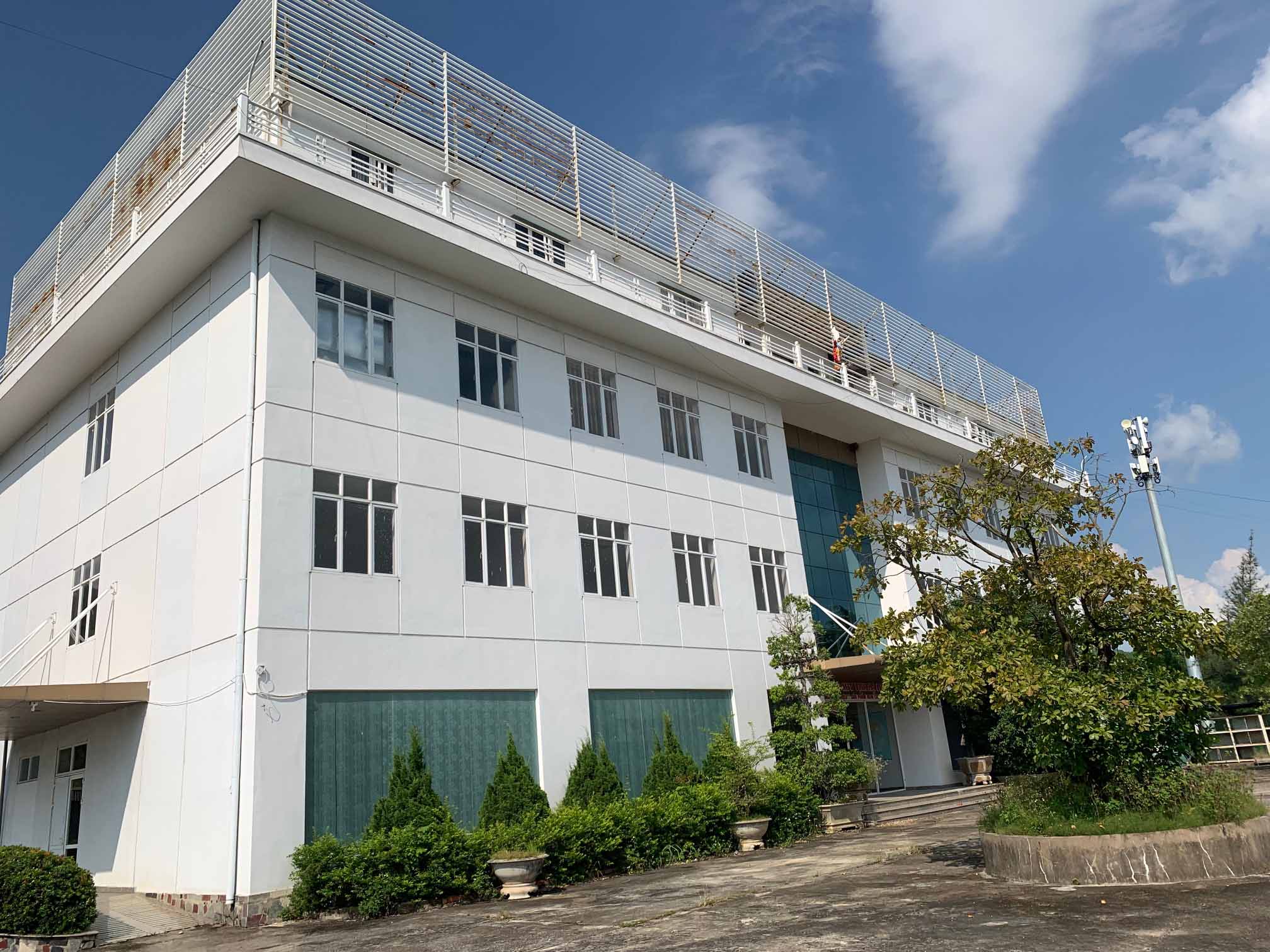 anh-qn-11.jpg