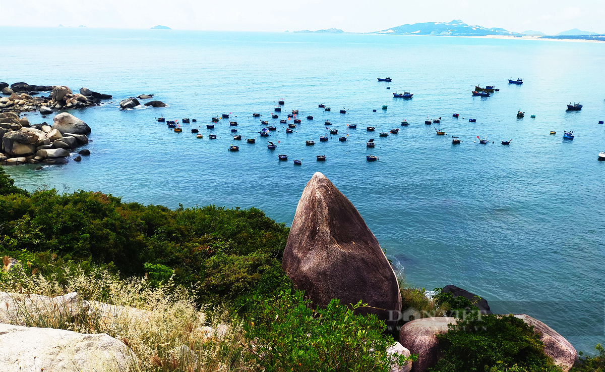 xanh-tham-ngoai-kia-la-cuoc-song-cua-bao-nguoi-va-ky-uc-cua-toi.png