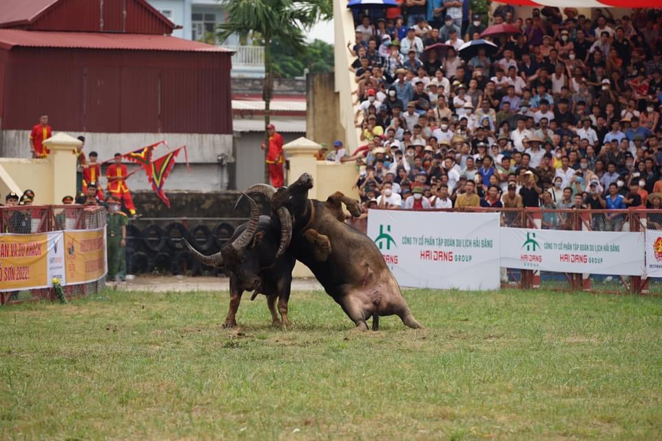 z3694627093765_12f83d946501d4b24c65124a55553511.jpg