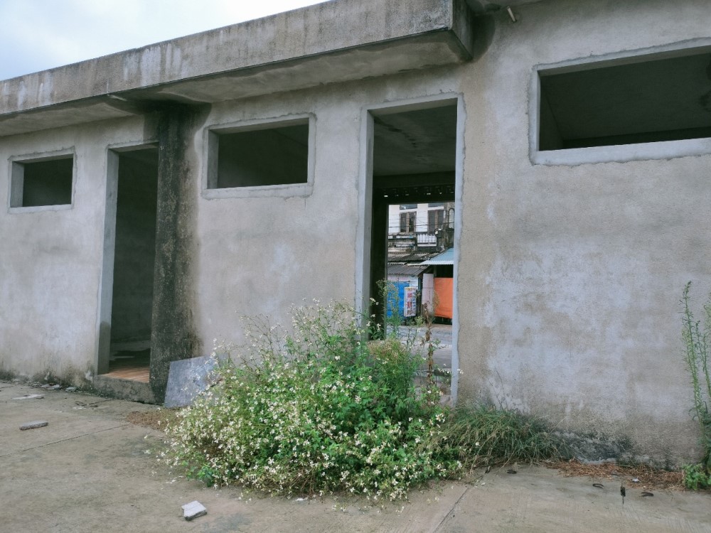 qngai2.jpg