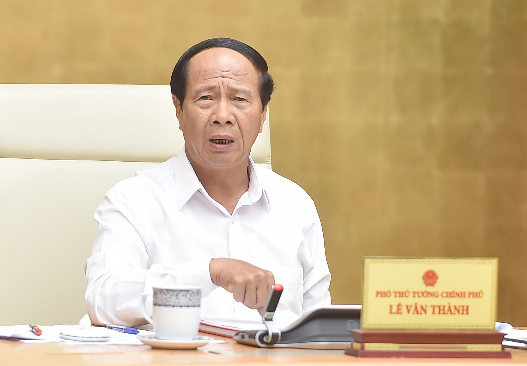 Phó Thủ tướng họp với 15 tỉnh, thành phố có nhu cầu nâng cấp, mở rộng, xây dựng mới cảng hàng không - Ảnh 1. Phó Thủ tướng họp với 15 tỉnh, thành phố có nhu cầu nâng cấp, mở rộng, xây dựng mới cảng hàng không - Ảnh 1.