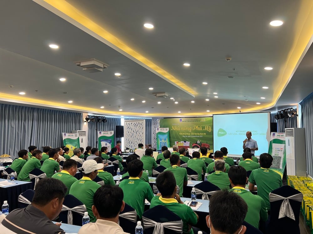 ba-con-lang-nghe-chia-se-ve-ky-thuat-su-dung-phan-bon-phu-my-dung-cach-hieu-qua-tiet-kiem-va-phong-tru-sau-benh-hai-tren-cac-loai-cay-trong.jpg