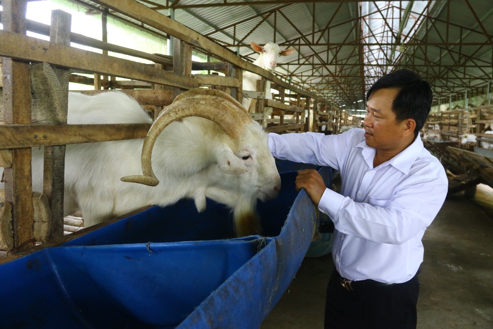 a11-giam-ngheo.jpg