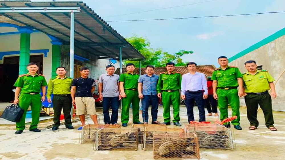 anh-1.-dong-vat.jpg