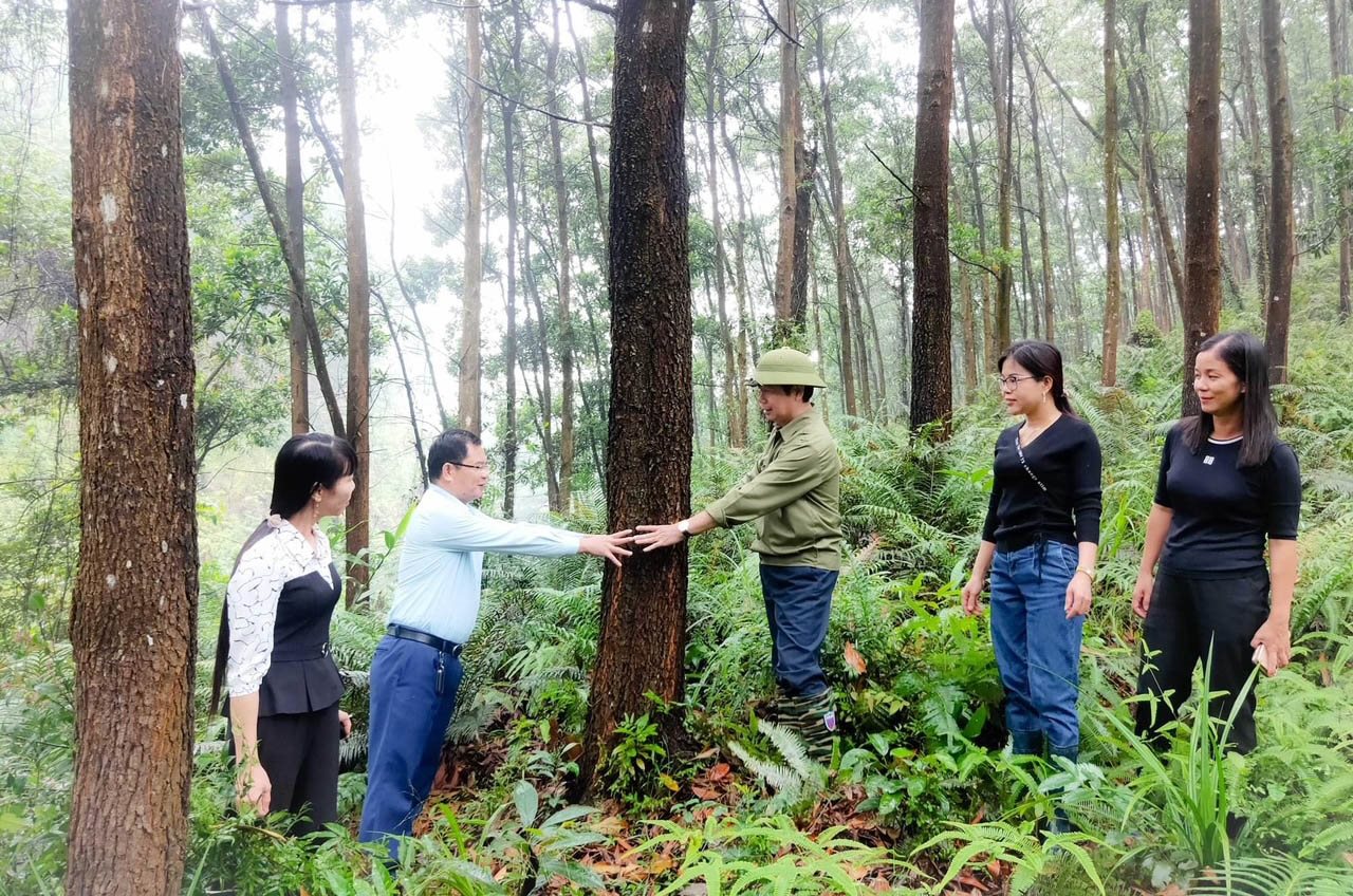 anh-qn-11.jpg