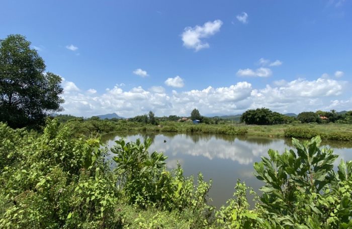 anh-qn-12.jpg