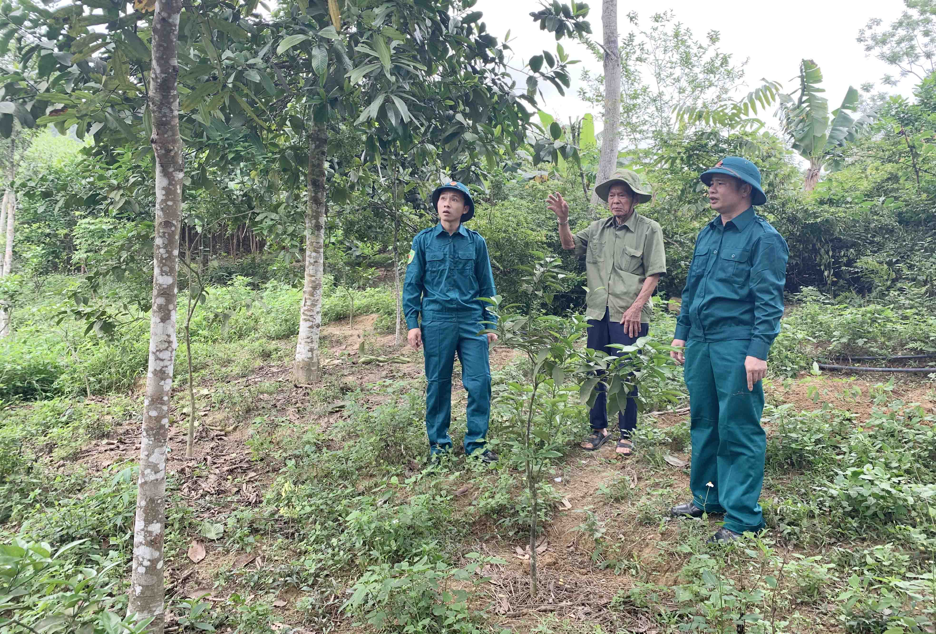 anh-qn-01.jpg