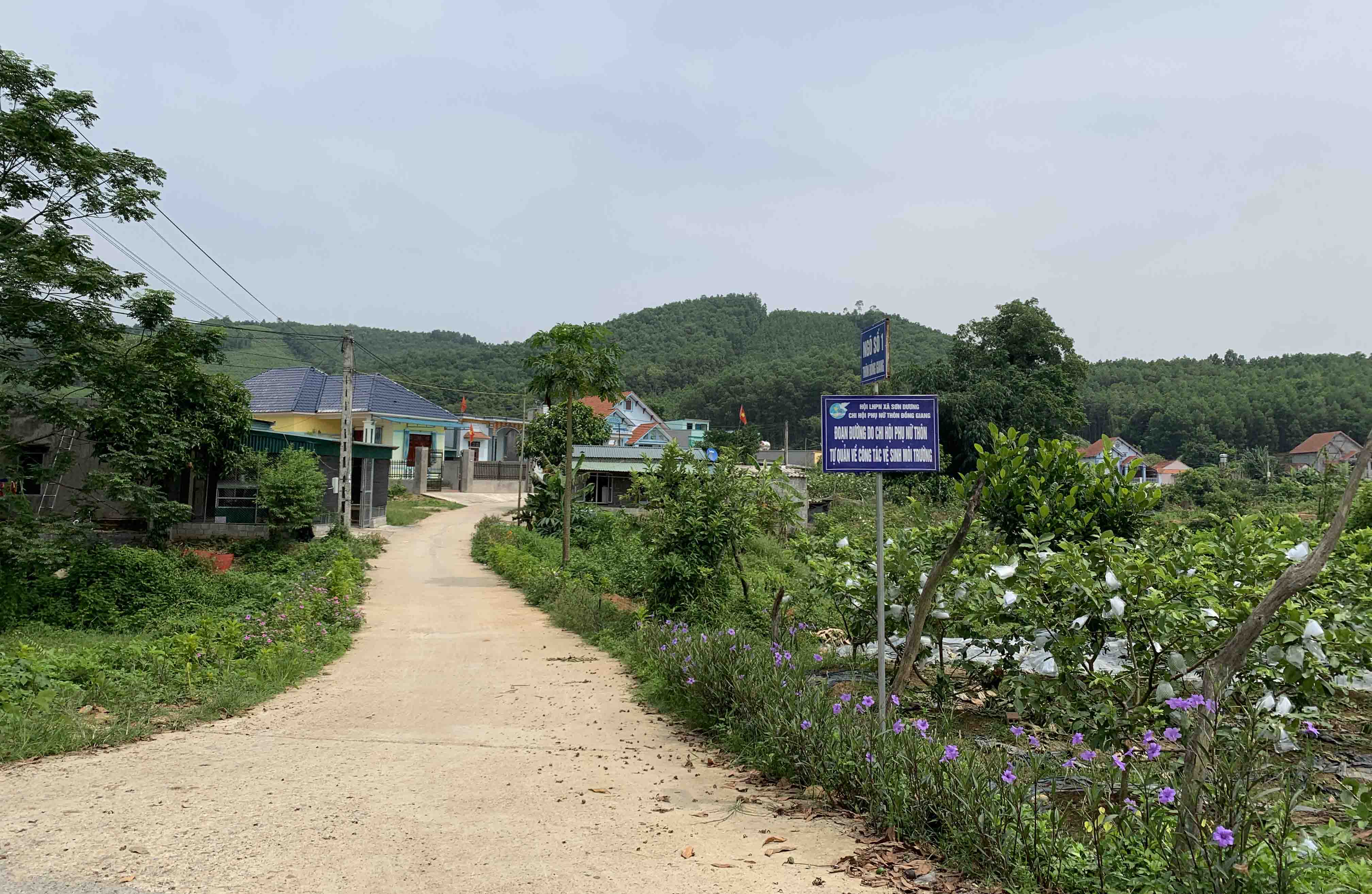 anh-qn-02.jpg