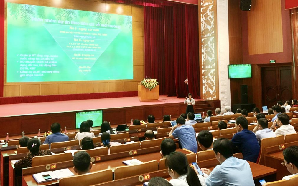 anh-qn-01.jpg