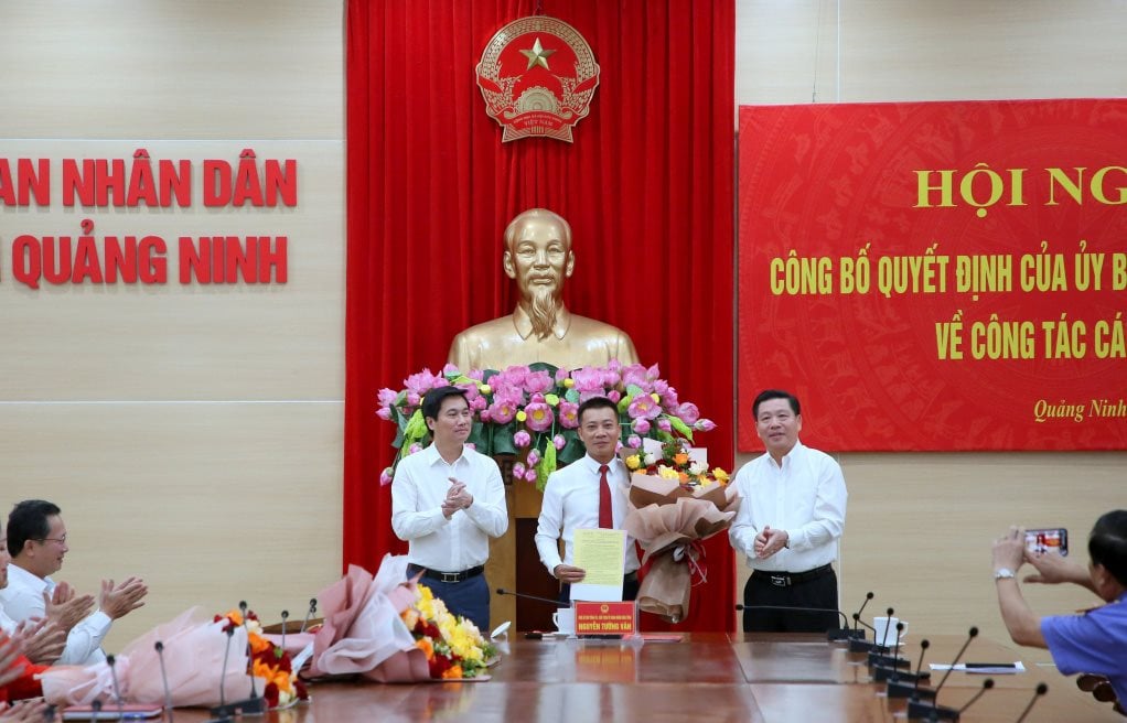 anh-qn-06.jpg
