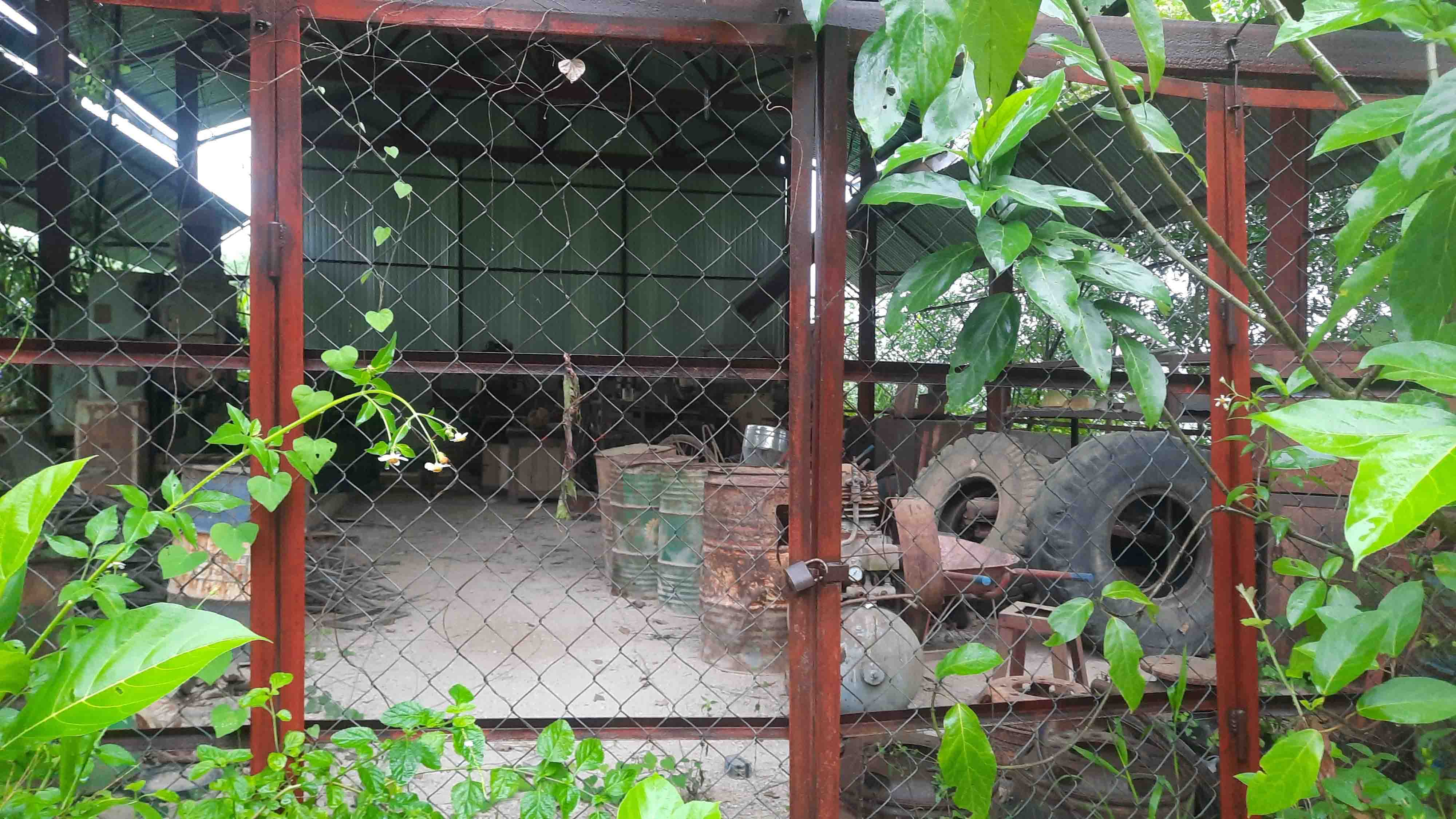a6.jpg