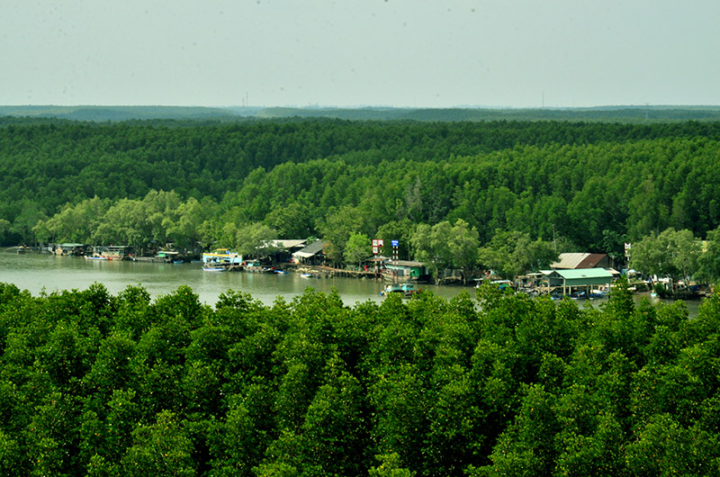 dsc_0815-09_55_41_354.jpg