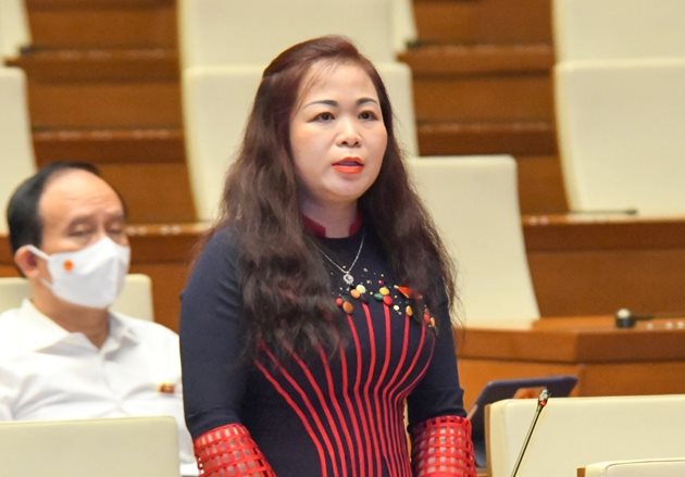 vu-thi-luu-mai-doan-dbqh-thanh-pho-ha-noi.jpg