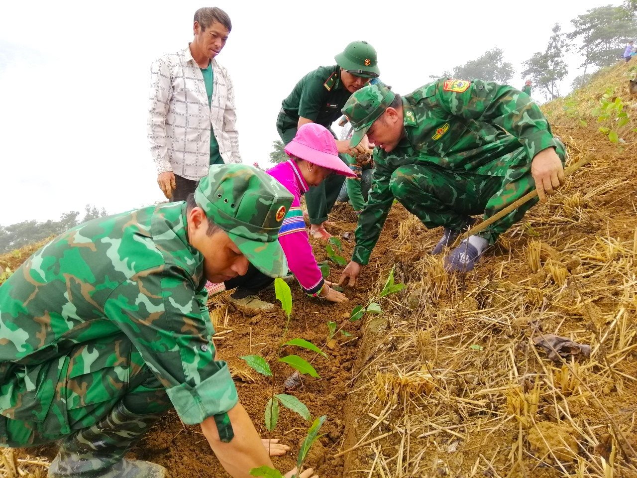 giam-ngheo-3.jpg