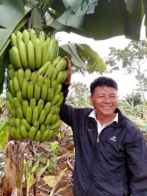 anh-moi-buong-chuoi-tieu-hong-cho-tu-6-den-8-nai.jpg