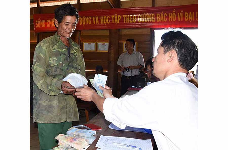 chi-tra-rung-gia-lai.jpg