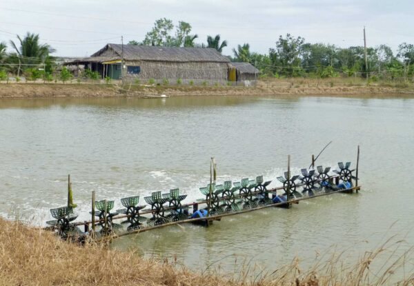 nuoi-trong-thuy-san.jpg