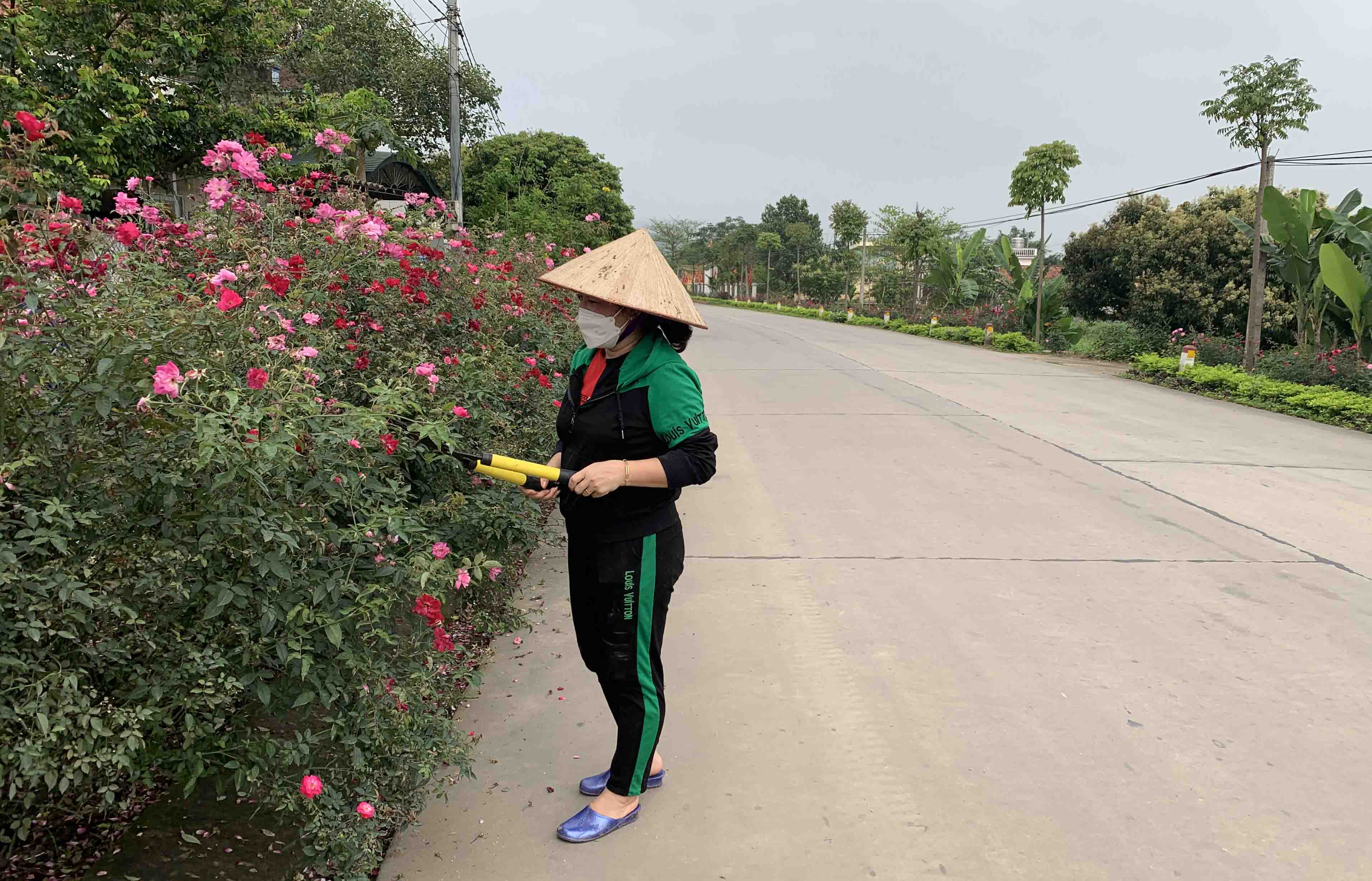 anh-qn-04.jpg