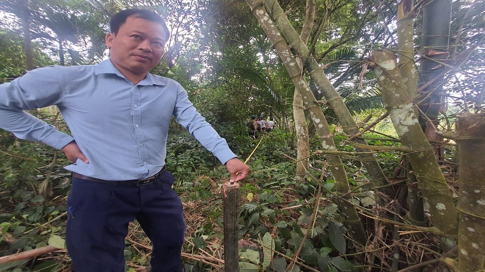 anh-2.jpg