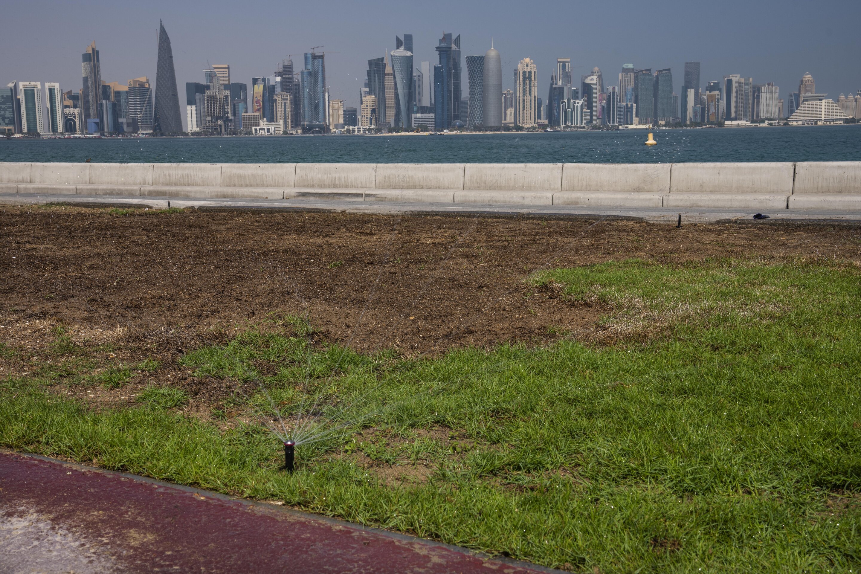 energy-rich-qatar-face-4.jpg
