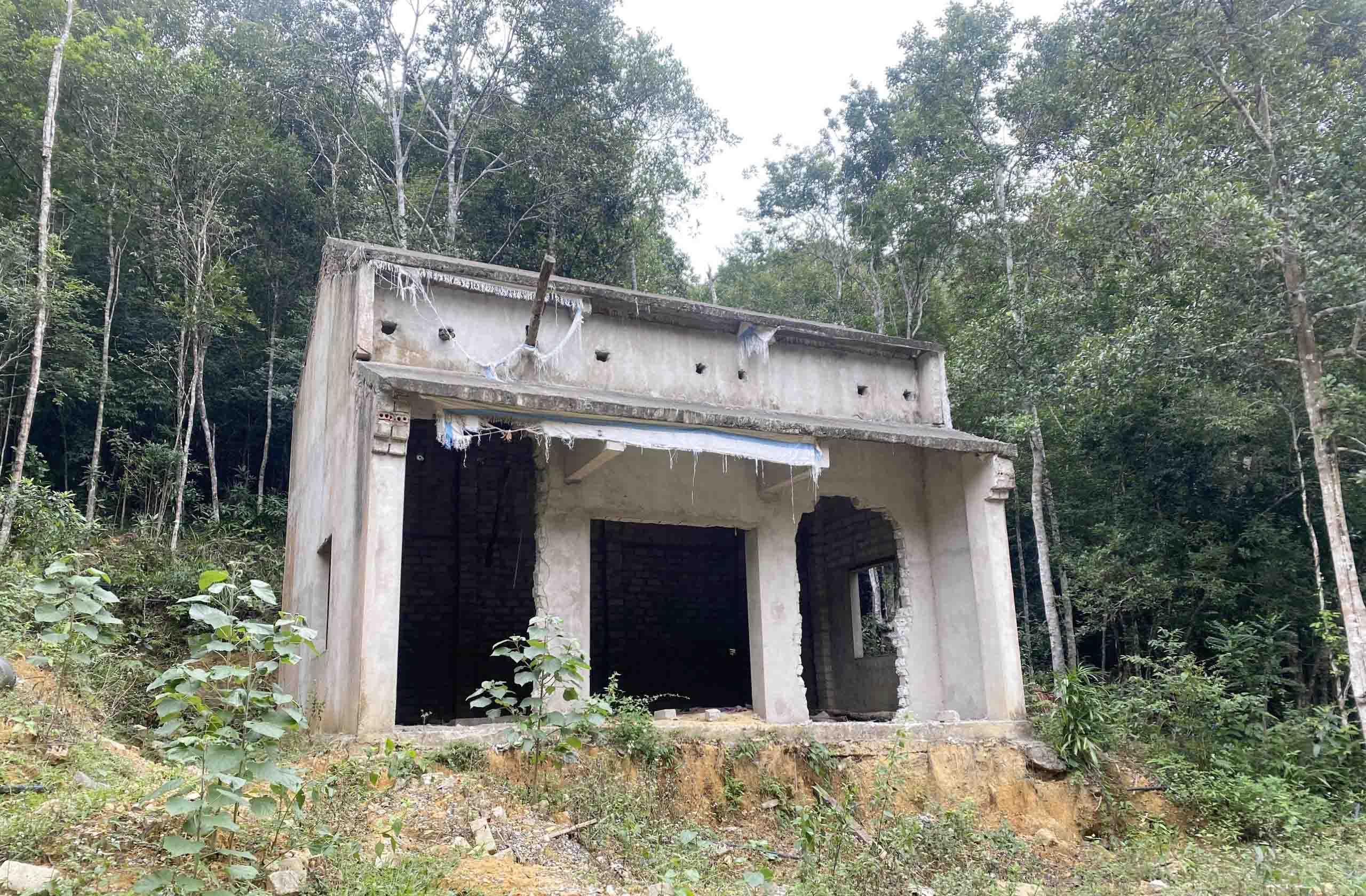 anh-ub-03.jpg