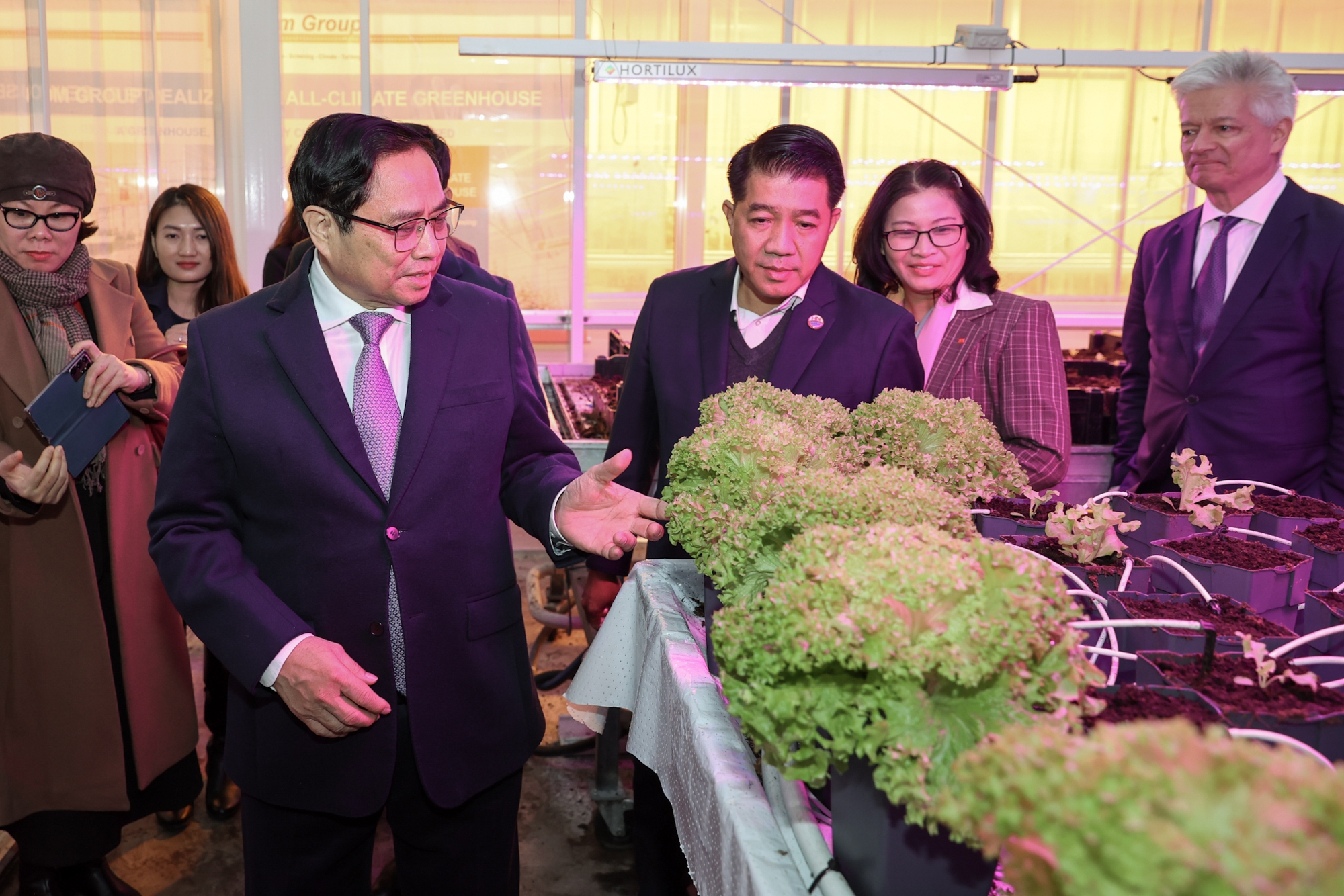 'Hà Lan sẵn sàng là đối tác đồng sáng tạo với Việt Nam trong nông nghiệp' - Ảnh 4. 'Hà Lan sẵn sàng là đối tác đồng sáng tạo với Việt Nam trong nông nghiệp' - Ảnh 4.