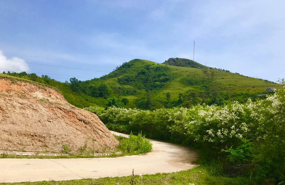 mui-cua-nui-rung-se-xua-tan-di-bao-met-nhoc-lo-toan-cua-cuoc-song-hang-ngay.jpg
