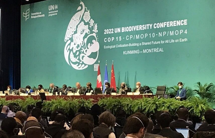 biodiversity-credit-talks-at-cop15-e1670956116788(1).jpg
