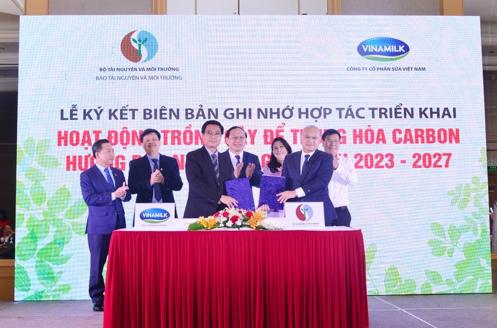 hinh-5.2.jpg