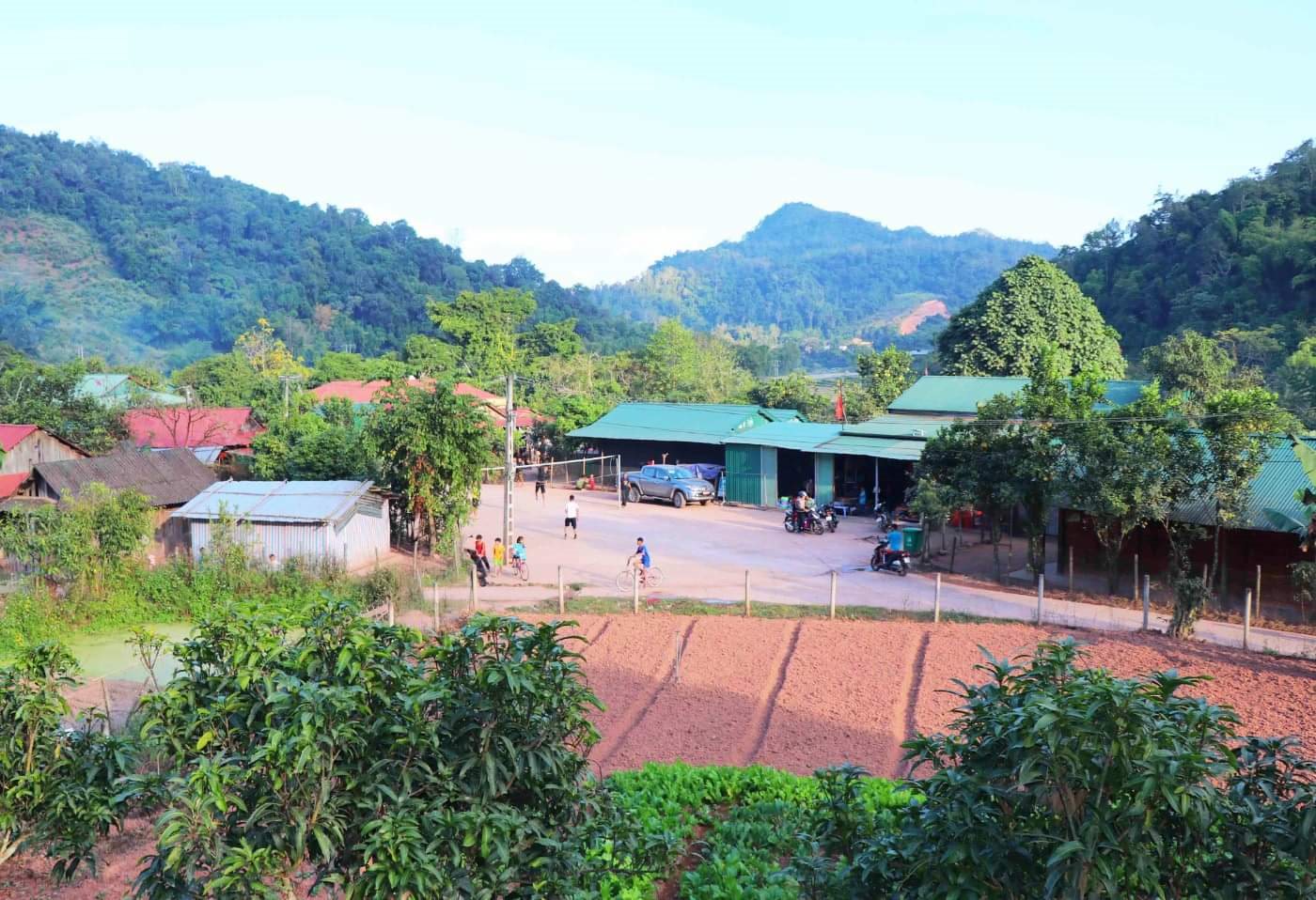 sin-thau-muong-nhe.jpg