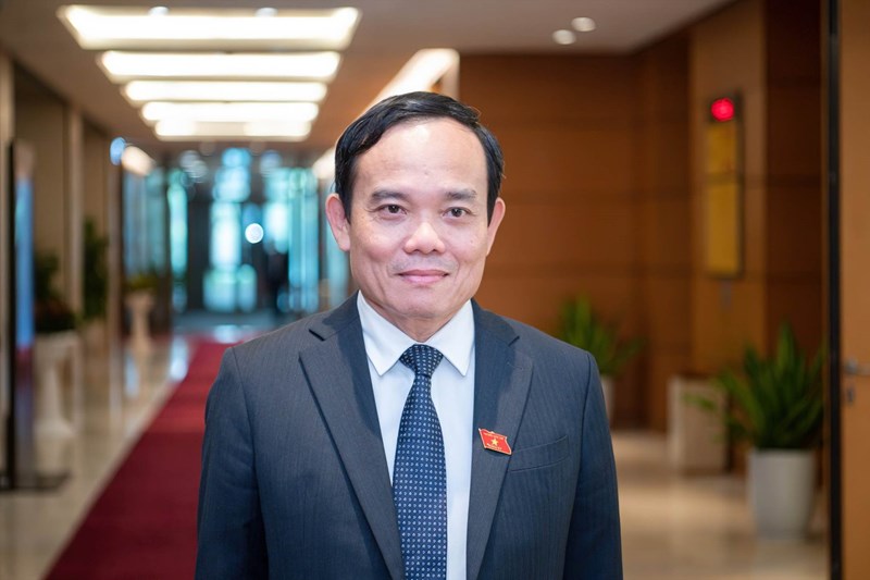 Phân công nhiệm vụ của các Phó Thủ tướng Chính phủ - Ảnh 3. Phân công nhiệm vụ của các Phó Thủ tướng Chính phủ - Ảnh 3.