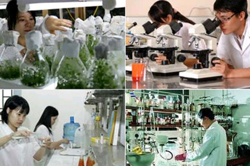 Hướng dẫn sử dụng kinh phí thực hiện nhiệm vụ khoa học và công nghệ - Ảnh 1. Hướng dẫn sử dụng kinh phí thực hiện nhiệm vụ khoa học và công nghệ - Ảnh 1.