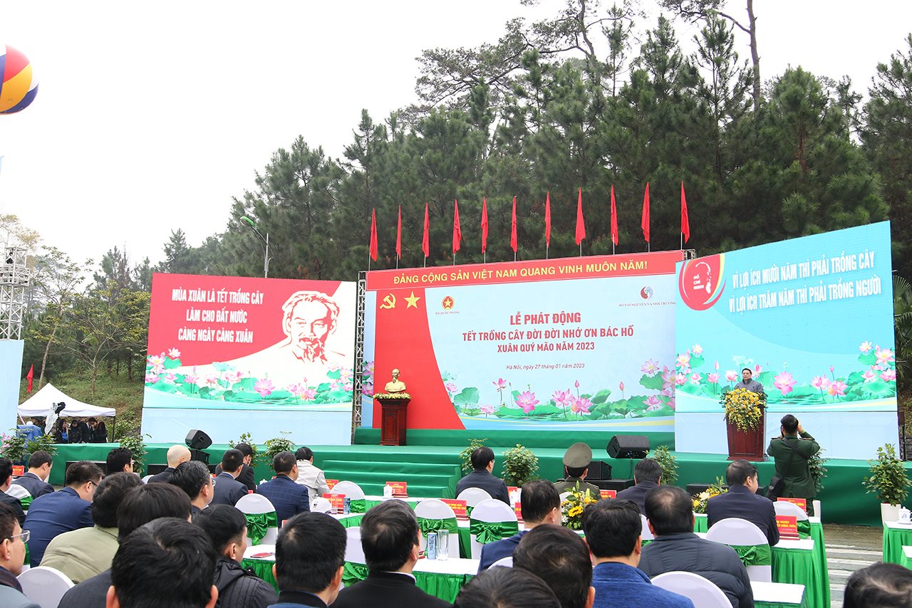 small_toan-canh.jpg