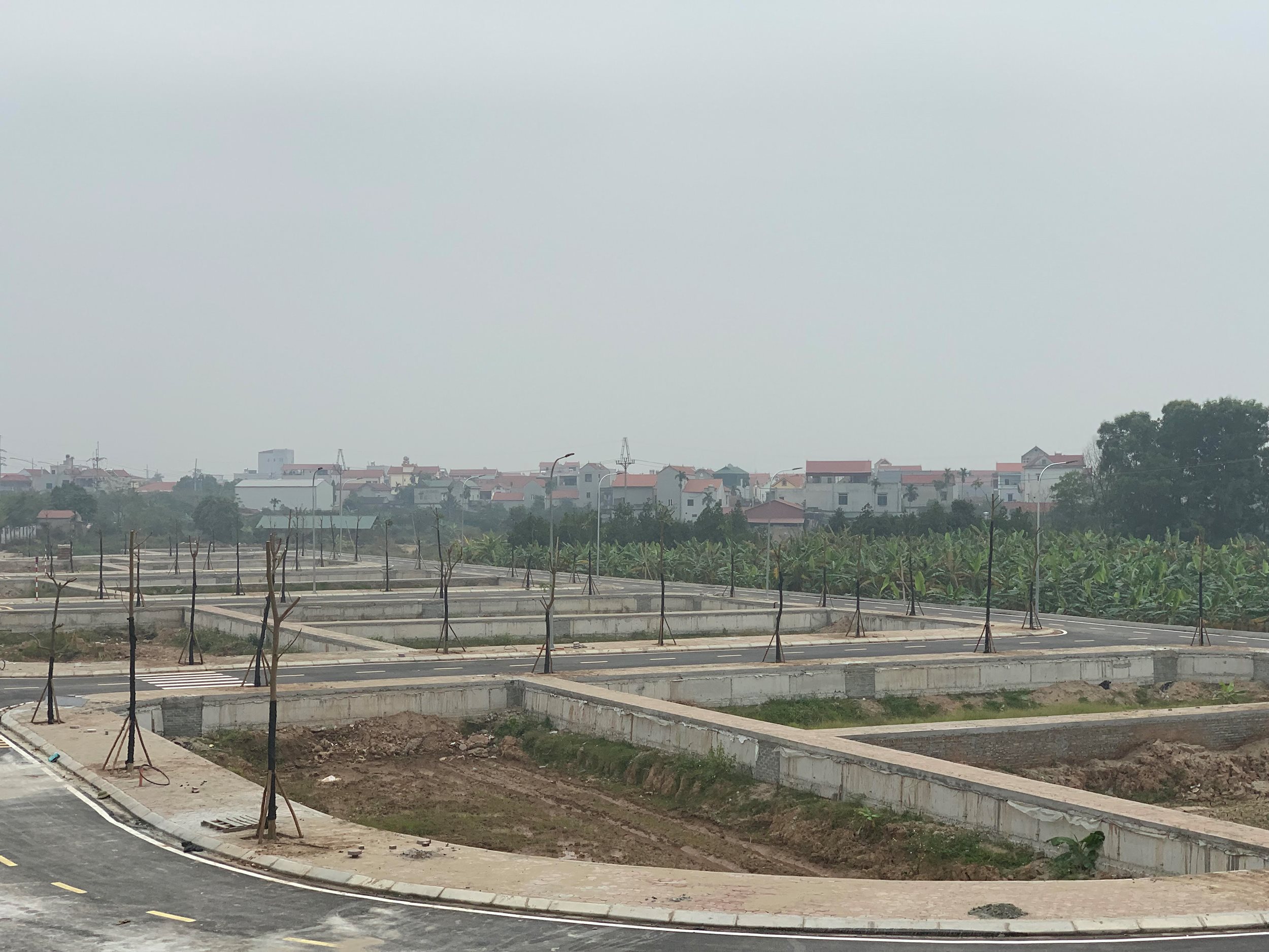 anh-dau-gia(1).jpg