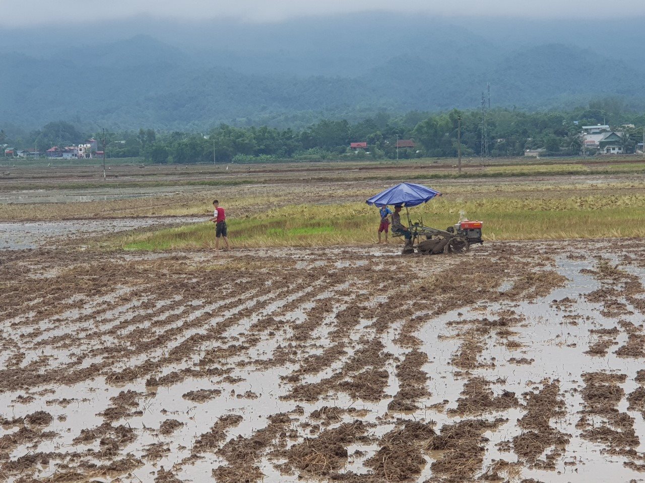 canh-dong-muong-thanh-cung-bi-nguoi-dan-lan-chiem-lam-nha-khu-vuc-c9-thanh-xuong-lam-thu-hep-dan-dat-canh-tac.jpg