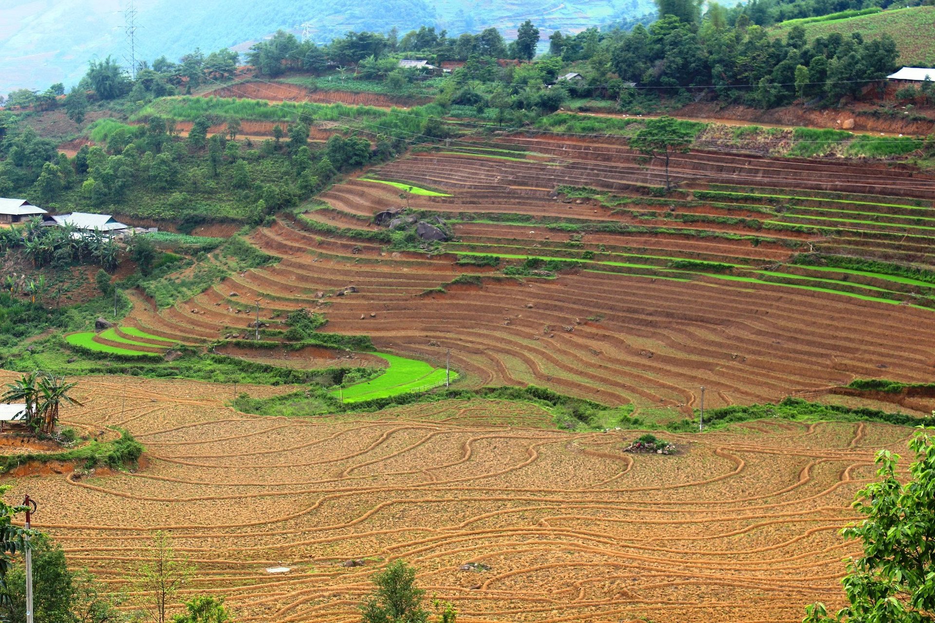 anh-ruong-bac-thang-lai-chau(1).jpg