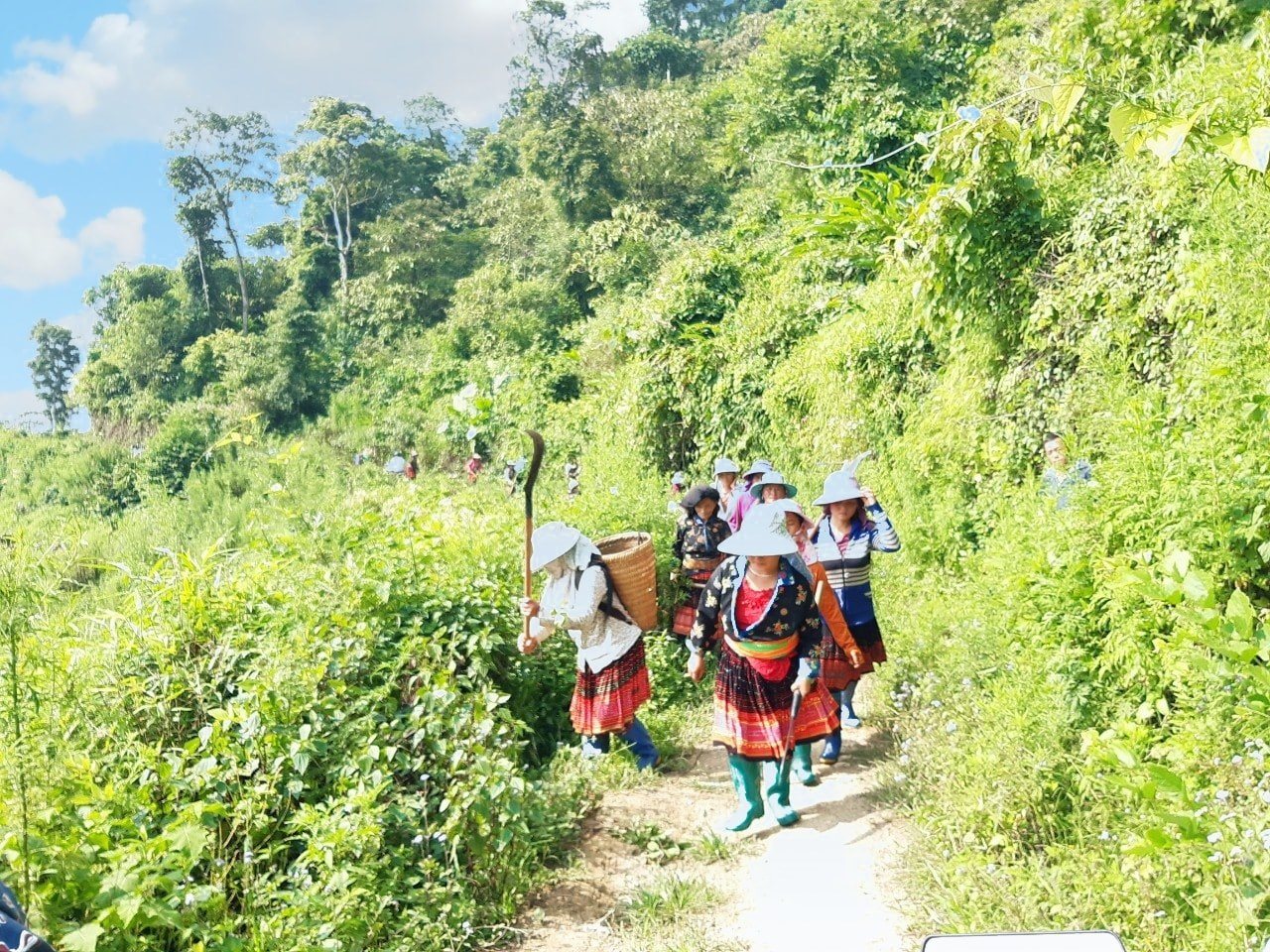 nguoi-dan-muong-ang-lam-co-vuon-ca-phe-bang-phuong-thuc-doi-cong(2).jpg
