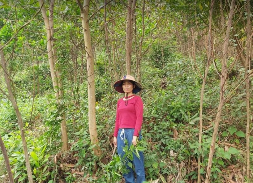 h2.-vu-khai-thac-rung-moi-day-nguoi-dan-thu-ve-tu-300-den-350-trieu-dong.jpg