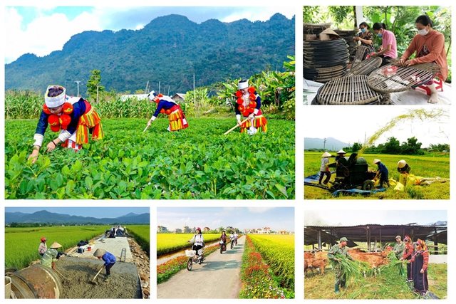b1.-day-nhanh-tien-do-trien-khai-thuc-hien-cac-chuong-trinh-muc-tieu-quoc-gia.jpg