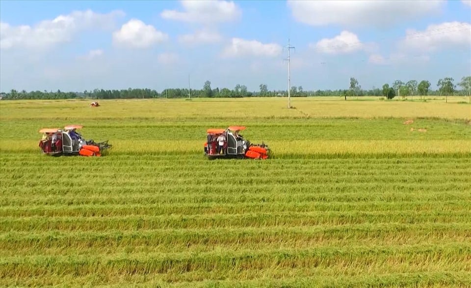 Thủ tướng Chính phủ ủy quyền cho Khánh Hòa chấp thuận chuyển mục đích sử dụng đất - Ảnh 1. Thủ tướng Chính phủ ủy quyền cho Khánh Hòa chấp thuận chuyển mục đích sử dụng đất - Ảnh 1.