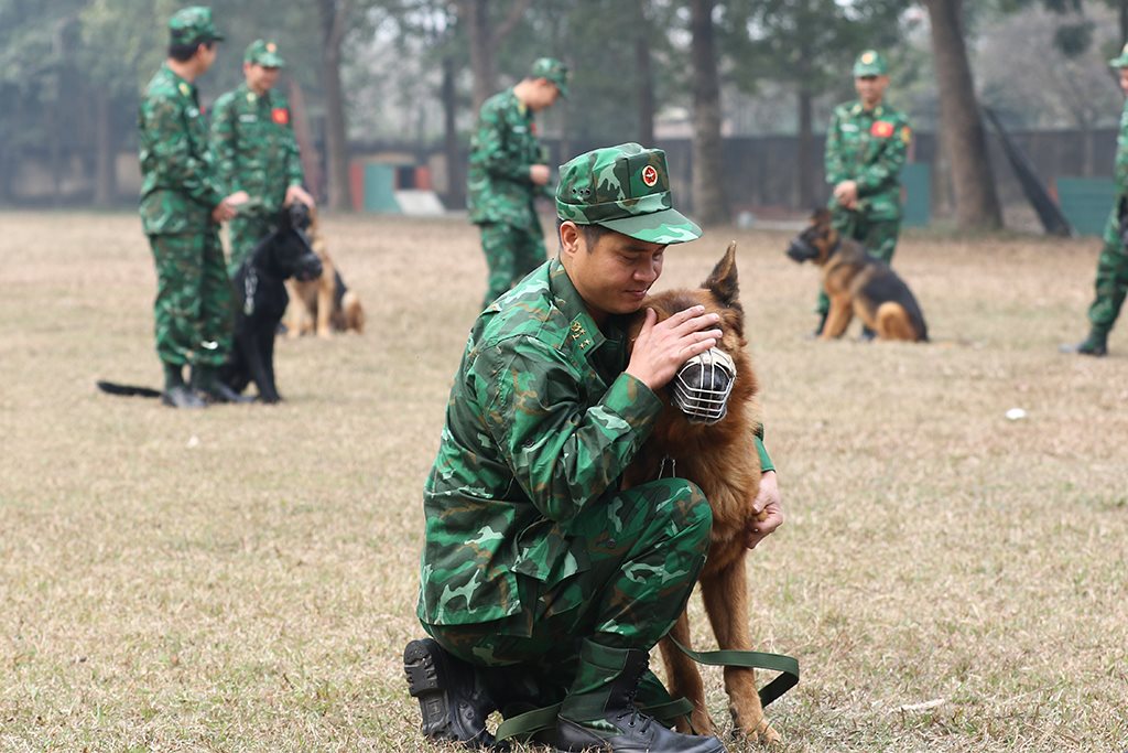 tap-huan_pokka_3.jpg