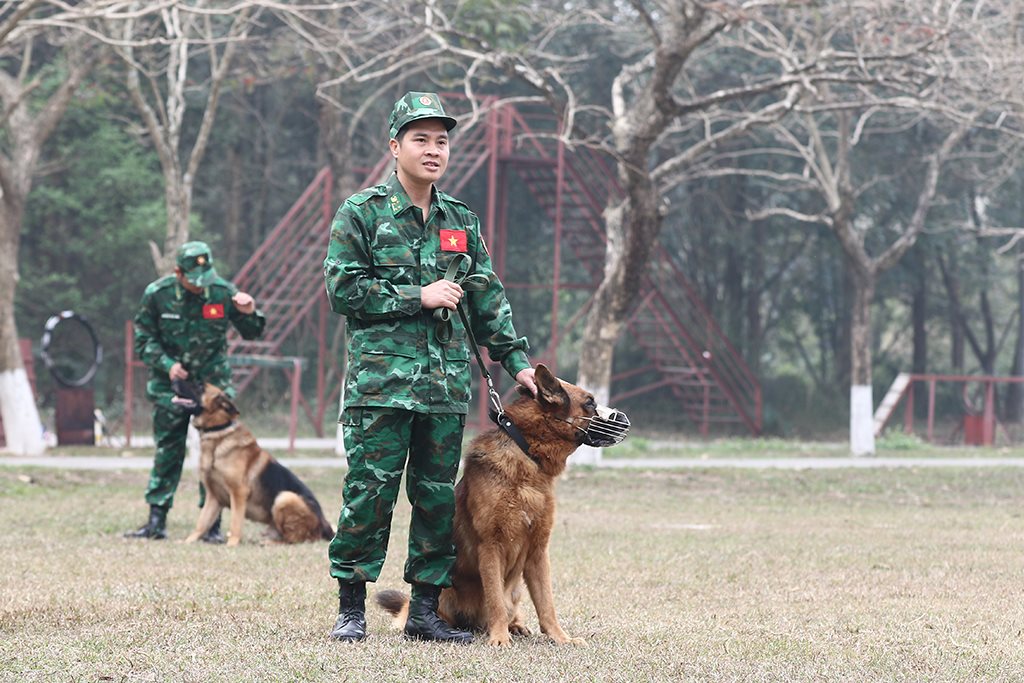 tap-huan_pokka_4.jpg