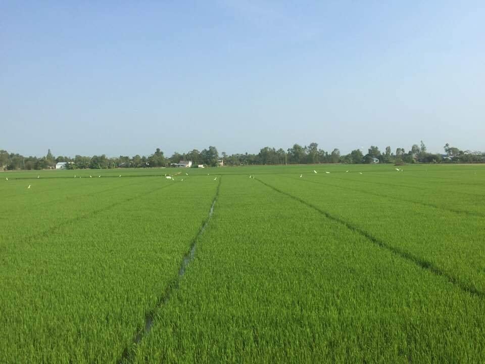 a22-dat-dai-soc-trang.jpg