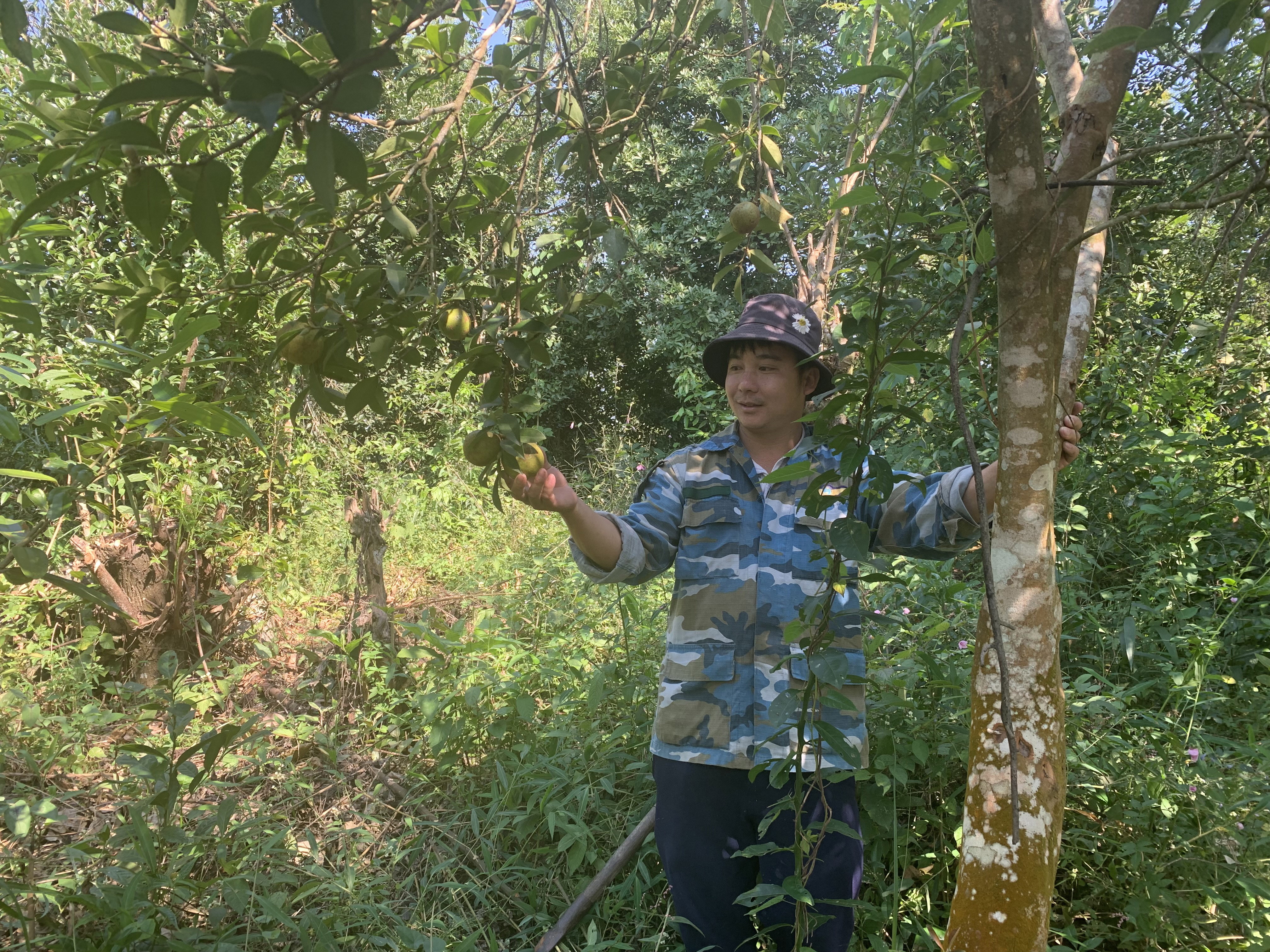 anh-qn-11-1-.jpg
